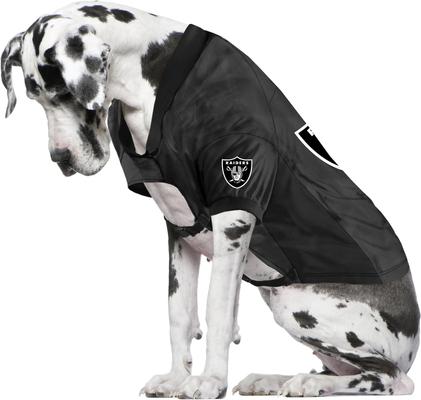 Show full view: Littlearth NFL Personalized Stretch Dog & Cat Jersey, Las Vegas Raiders, Big Dog slide 3 of 8