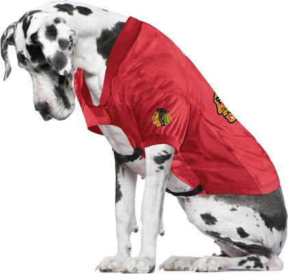 Show full view: Littlearth NHL Personalized Stretch Dog & Cat Jersey, Chicago Blackhawks, Big Dog slide 3 of 5