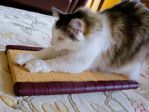 Show full view: Royal Cat Boutique Kitty Treadmill Cat Scratcher, Neutral slide 10 of 11