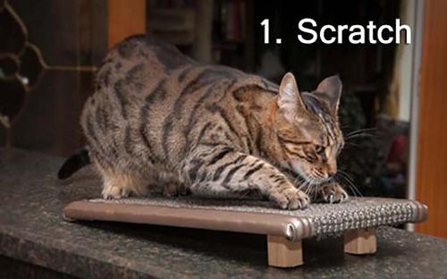 Show full view: Royal Cat Boutique Kitty Treadmill Deluxe Cat Scratcher, Neutral slide 4 of 8