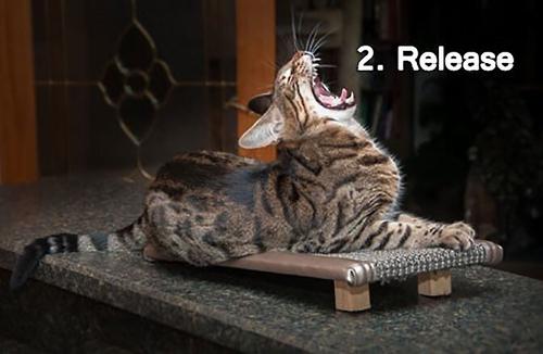 Show full view: Royal Cat Boutique Kitty Treadmill Deluxe Cat Scratcher, Neutral slide 5 of 8