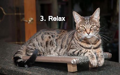 Show full view: Royal Cat Boutique Kitty Treadmill Deluxe Cat Scratcher, Neutral slide 6 of 8