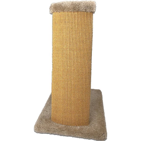 chewy sunflower cat scratcher