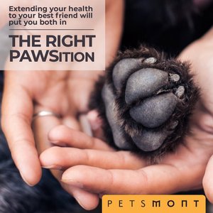 Petsmont Organic Touch & Heal Dog Paw Balm, 2-fl oz jar