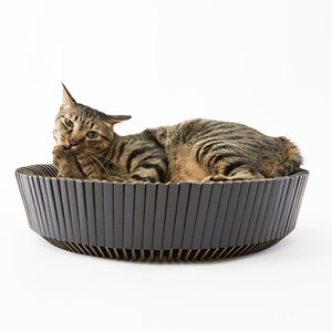 Katris Pre-Assembled Nest Scratcher Lounge Cat Bed, Black, Medium