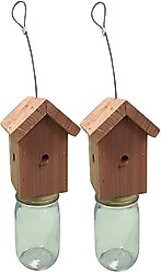 Red Carpet Studios Bee Catcher, 2 count