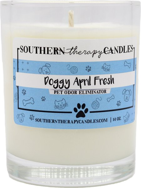 Southern Therapy Candles Doggy April Fresh Odor Eliminator Candle slide 1 of 2