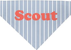 904 Custom Pinstripe Personalized Dog Collar Bandana, Small