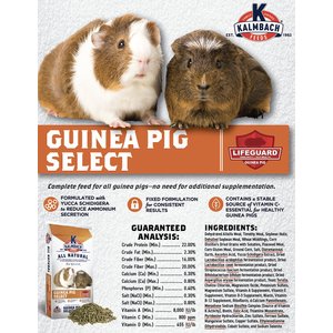 Kalmbach Feeds All Natural Guinea Pig Select Food, 50-lb bag