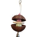 Polly's Pet Products Coconut Hut Bird Perch, Small