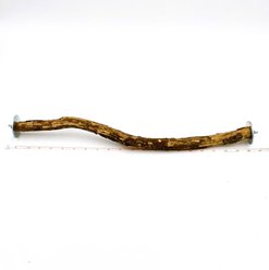 Polly's Pet Products Hardwood Bird Perch, 20-in