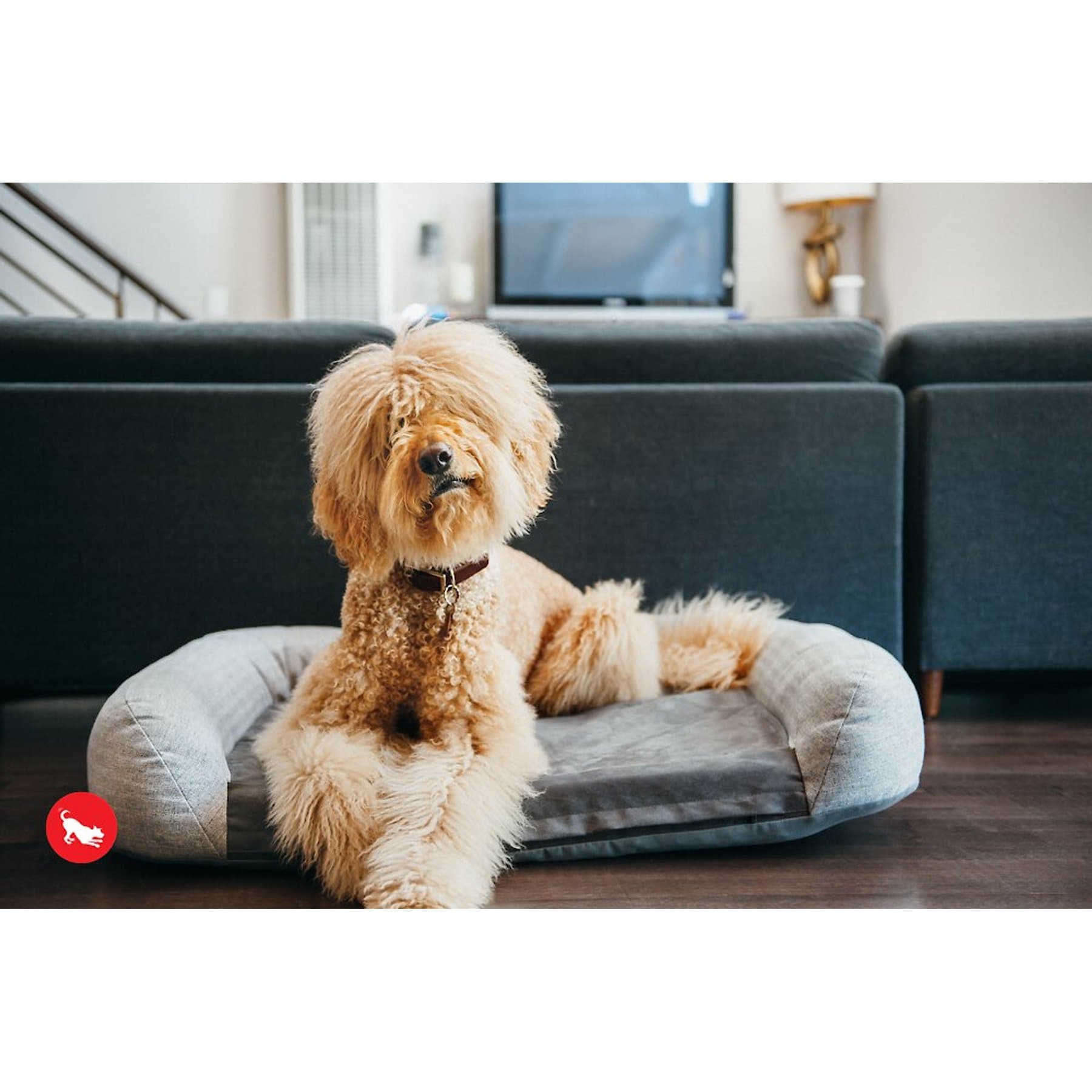 P.L.A.Y. Pet Lifestyle and You P.L.A.Y. Pet Lifestyle and You California Dreaming Bolster Dog Bed with Removable Cover, Grey, Medium