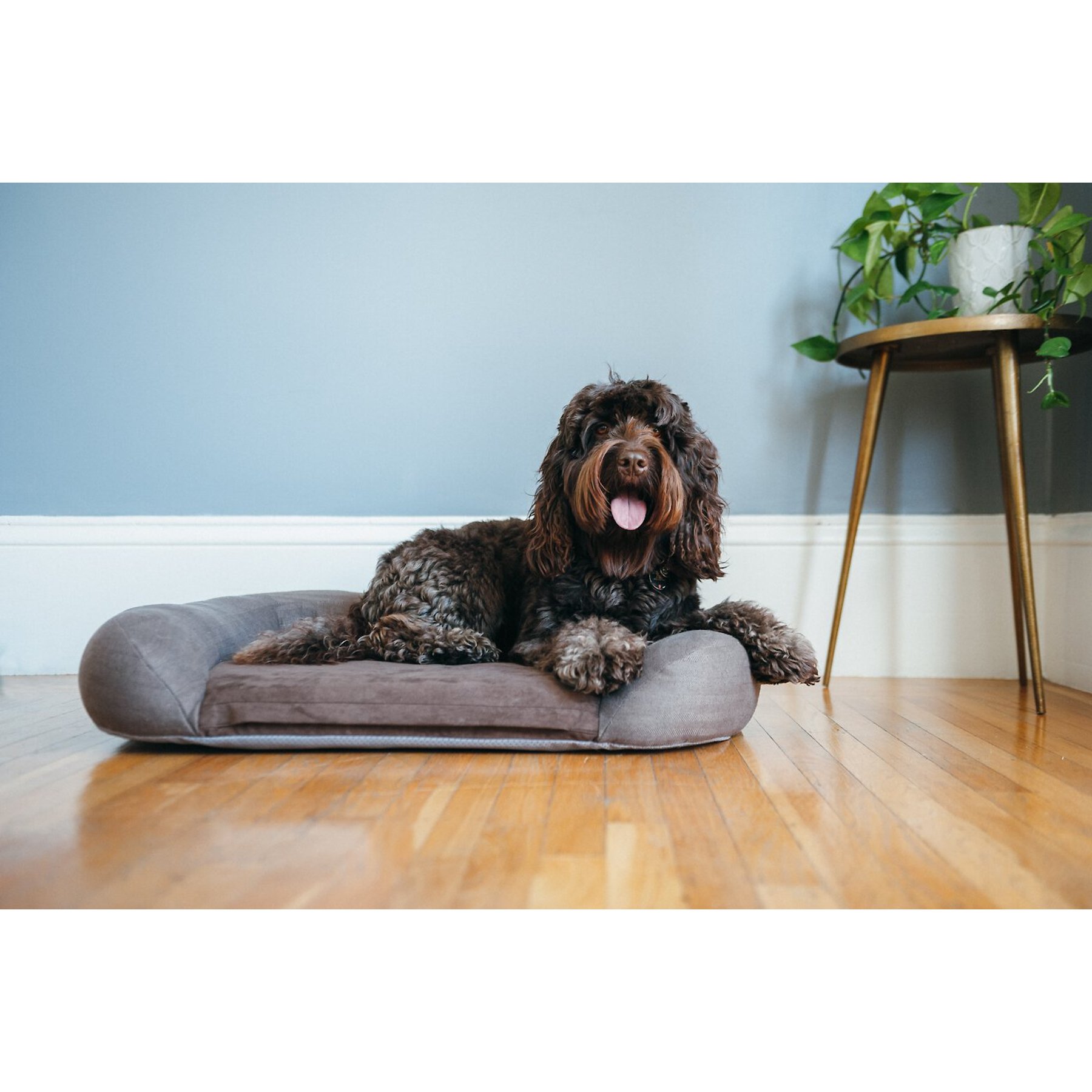 P.L.A.Y. Pet Lifestyle and You California Dreaming Bolster Dog Bed with Removable Cover, Big Sur Brown, Large