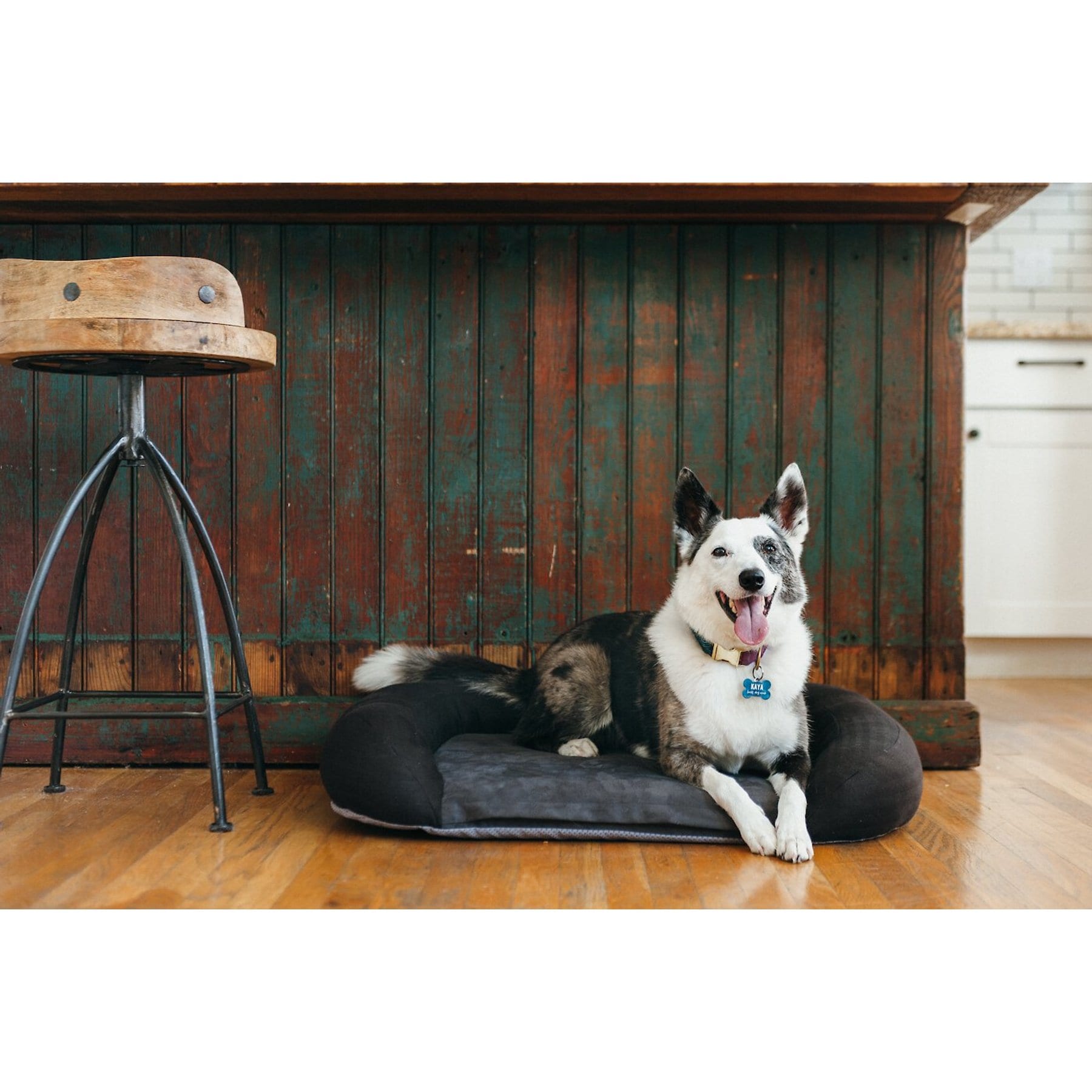 P.L.A.Y. Pet Lifestyle and You P.L.A.Y. Pet Lifestyle and You California Dreaming Bolster Dog Bed with Removable Cover, Alcatraz Black, Large