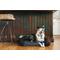Show in main carousel: P.L.A.Y. Pet Lifestyle and You California Dreaming Bolster Dog Bed with Removable Cover, Alcatraz Black, Large slide 1 of 5
