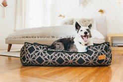 P.L.A.Y. Pet Lifestyle and You Solstice Bolster Dog Bed with Removable Cover, Stormy Night, Medium