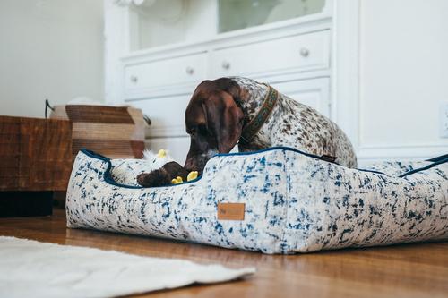 Show full view: P.L.A.Y. Pet Lifestyle and You Solstice Bolster Dog Bed with Removable Cover, Midnight Blue, X-Large slide 4 of 5