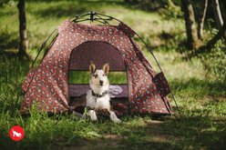 P.L.A.Y. Pet Lifestyle and You Scout & About Outdoor Dog Tent, Mocha