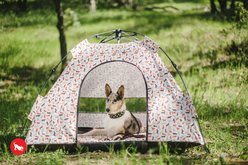 P.L.A.Y. Pet Lifestyle and You Scout & About Outdoor Dog Tent, Vanilla