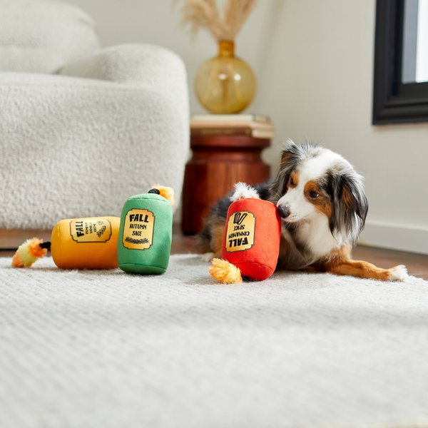 Frisco Camping Bug Spray Plush Squeaky Dog Toy, 3 count