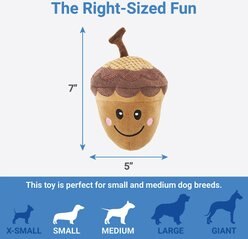 Frisco Fall Acorn Plush Squeaky Dog Toy slide 2 of 3