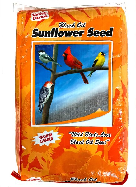 chewy black oil sunflower seeds