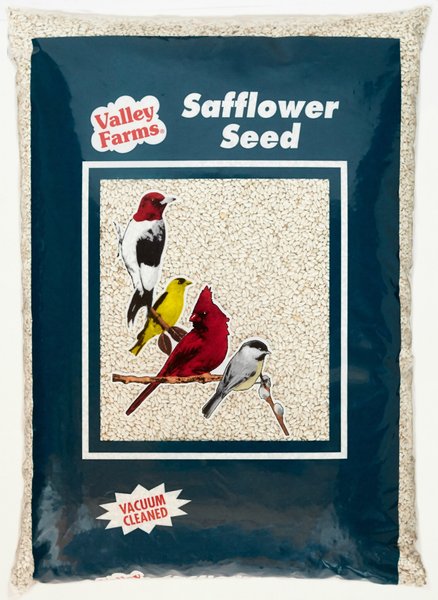 Valley Farms Safflower Seed Wild Bird Food, 4-lb bag slide 1 of 2