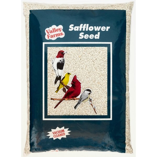 WAGNER'S Safflower Seed Premium Wild Bird Food, 5lb bag