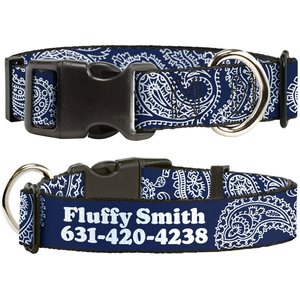 Buckle-Down Polyester Personalized Dog Collar, Paisley Blue & White, Large