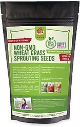 Pampered Chicken Mama Wheatgrass Fodder Seeds Chicken Treats, 3-lb bag