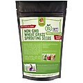 Pampered Chicken Mama Wheatgrass Fodder Seeds Chicken Treats, 3-lb bag