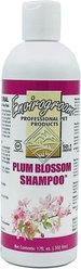 Envirogroom Plum Blossom 50:1 Dog & Cat Shampoo, 17-oz bottle