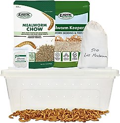 Exotic Nutrition Small Animal Mealworm Breeder Kit