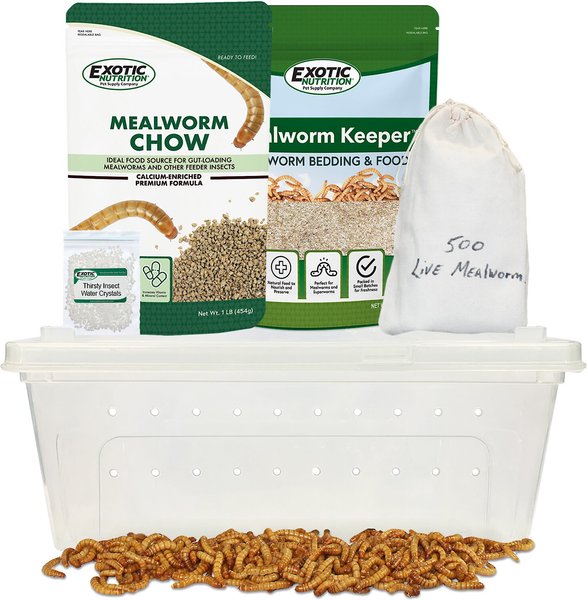 Exotic Nutrition Small Animal Mealworm Breeder Kit slide 1 of 4
