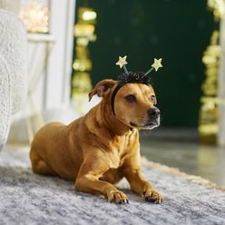 Wagatude Star Dog Headpiece, Medium/Large slide 2 of 2