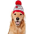 Wagatude Dog Hat Set, X-Small/Small