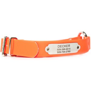 GoTags Personalized Sporting Dog Collar, Small: 16 to 19-in neck, 1-in wide