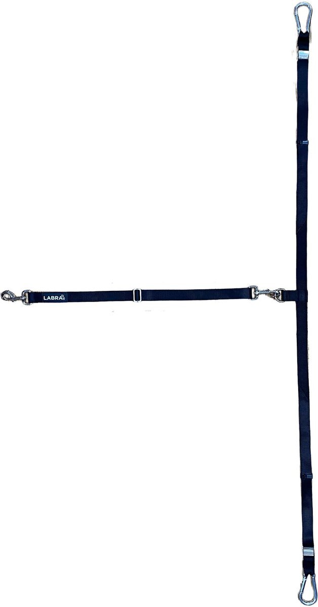 Labra Dog Truck Leash