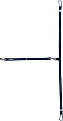 Labra Dog Truck Leash, Single