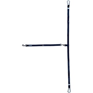 Labra Dog Truck Leash, Single