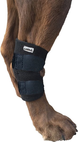Labra Lightweight Dog Hock Brace with Flex Straps, Large slide 1 of 2