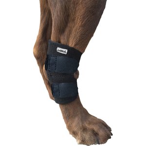Labra Lightweight Dog Hock Brace with Flex Straps, Large