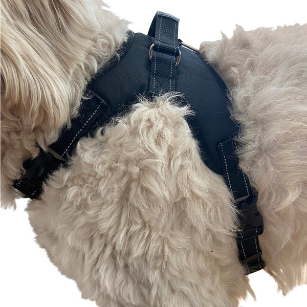 Labra Dog Chest Harness, Medium slide 1 of 3