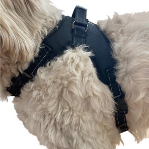 Labra Dog Chest Harness, X-Large