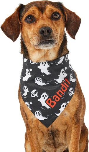 Frisco Halloween "Boo" Personalized Dog & Cat Bandana, Small