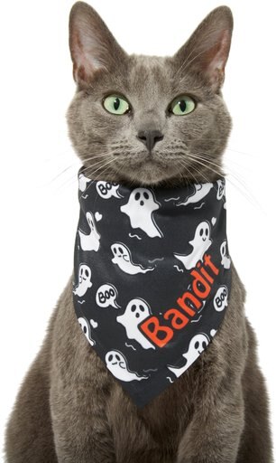 Frisco Halloween "Boo" Personalized Dog & Cat Bandana, Small