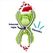 Show in main carousel: Frisco Holiday Plush with Rope Squeaky Dog Toy, Monkey, Medium/Large slide 3 of 9