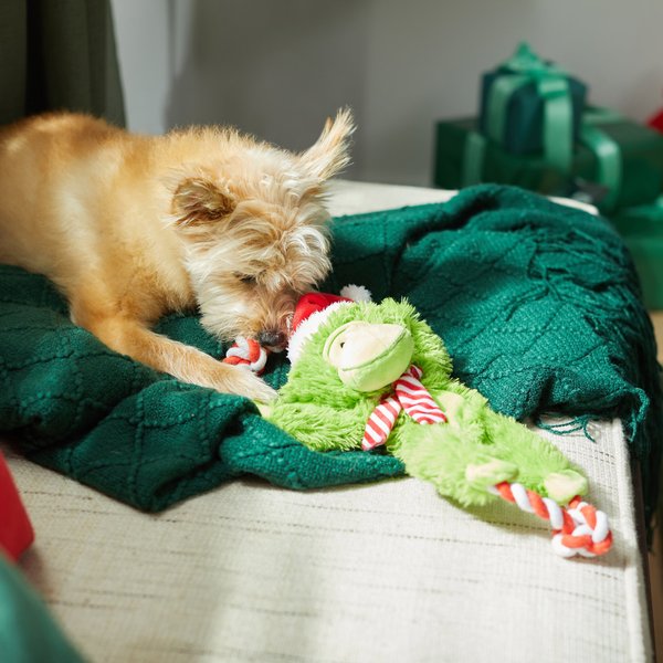 Show full view: Frisco Holiday Plush with Rope Squeaky Dog Toy, Monkey, Medium/Large slide 4 of 9
