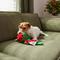 Show in main carousel: Frisco Holiday Bouquet of Flowers Plush Squeaky Dog Toy, Medium slide 4 of 7