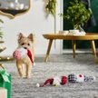 Frisco Gnome Plush Squeaky Dog Toy
